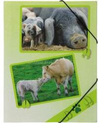 PAGNA A4 PP farmon élő állatok gumis mappa (P2161215) (P2161215)