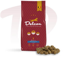 Delcon Regular Plus Fish Lazac Hypoallergén Prémium kutyatáp 12 kg (110612)