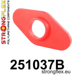  251037B: Front subframe - lower bush