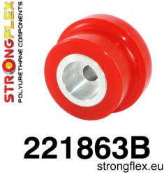  221863B: Rear diff mount - rear bush