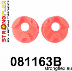  081163B: Engine mount inserts right side