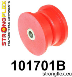  101701B: Rear differential bush