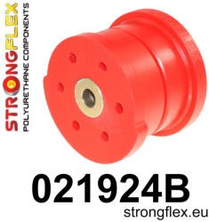  021924B: Rear diff mount - front bush