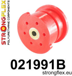  021991B: Rear differential - front bush