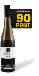 TESCH Unplugged Riesling 2024 - Weingut Tesch - 90 pont ***** (Németország) (0, 75l)