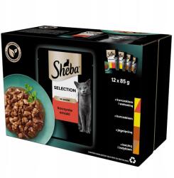 Sheba Selection Zamatos Ízek Szószban 12x85g Nedves Macskaeledel