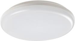 Rábalux Rabalux 98007979 LED kültéri mennyezeti lámpa Eric 1x24W|4000K|IP64