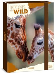 Ars Una Ars Una: Icons of the Wild Giraffes A/4 füzetbox (50855056)