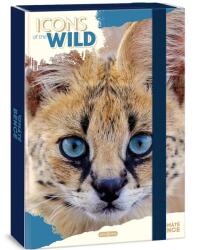 Ars Una Ars Una: Icons of the Wild Serval A/4 füzetbox (50855032)