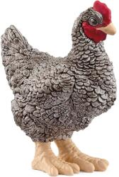 Schleich Schleich: Plymouth Rock csirke figura (13997) (SLH13997)