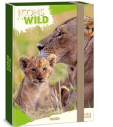 Ars Una Ars Una: Icons of the Wild Lions A/4 füzetbox (50855049)