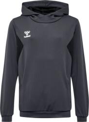 Hummel HMLAUTHENTIC PL HOODIE KIDS Kapucnis melegítő felsők 219977-6235 Méret 140 219977-6235