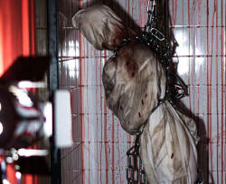  Skizofrén sorozatgyilkos