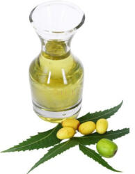 Bio neem olaj - 1000 ml