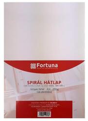 Fortuna Hátlap FORTUNA A/4 250 g fényes fehér 100/dob (09.00511) - fotoland