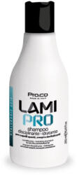 Pro.co sampon pentru disciplinarea si hidratarea parului LAMI PRO 250 ml - PROCO (PSLA)