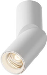Maytoni Dafne C027CL-L10W