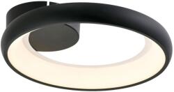 Reality Thea Ceiling lamp, Alu. and Acrylic and IronSand BlackLED 21W; 80lm/W; 4000K25000hours; CRI≧80; A+Size: D300xH70mm - REAL-638201-30 (REAL-638201-30)