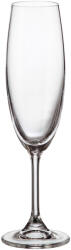 Crystalite Bohemia KLARA/SYLVIA 6 darab, 220 ml, pezsgő