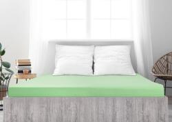  Cearsaf jersey din bumbac mako LUXORA 90x200 cm verde deschis