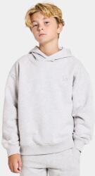 Didriksons gyerek felső VEN KIDS HOODIE szürke, sima, kapucnis, 505730 - szürke 140