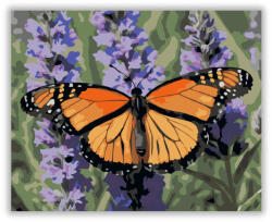  Narancsszárnyú Pillangó Levendulán - számfestő készlet