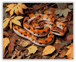  Őszi Kígyó a Lombtakaróban - számfestő készlet