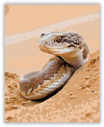  Sivatagi Homoki Boa a Dűnék Között - számfestő készlet