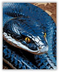  Kobra Kiterjesztett Csuklyával - számfestő készlet