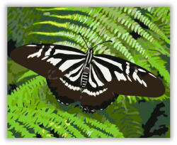  Zebra Csíkos Pillangó Páfrányon - számfestő készlet