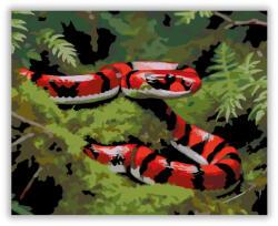  Színes Kígyó a Mohás Erdőben - számfestő készlet