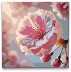  Festés számok szerint - Sakura virág Méret: 50x50cm, Keretezés: Keret nélkül (csak a vászon)