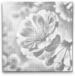  PontPöttyöző - Sakura virág Méret: 50x50cm, Keretezés: Keret nélkül (csak a vászon), Szín: Zöld