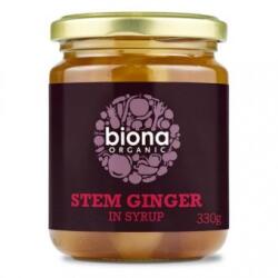 Noi Muguri de ghimbir in sirop bio 330g Biona
