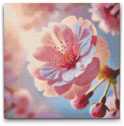 Gyémántszemes kirakó - Sakura virág Méret: 50x50cm, Keretezés: Műanyagtáblával, Gyémántok: Kerek