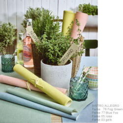 Sander Bistro Allegro szett alátét 35x50 cm menta (58064-78)