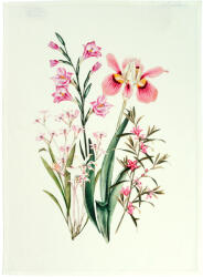 Sander Botanico konyharuha 50 x 70 cm rózsaszín (676793-14)