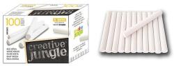 SaKOTA Creative Dzsungel Táblakréta - Pormentes, Kerek, 100 db/Doboz, Fehér