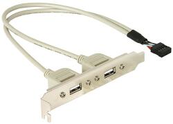 Delock USB slot -> USB2.0 x2 - DeLock (71000)
