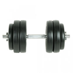 vidaXL Set gantere 15 kg (90236)