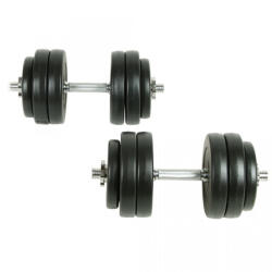 vidaXL Set gantere 30 Kg (90235)