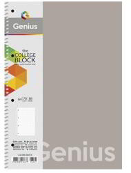 Shkolyaryk Publishing House Genius Pastel A4 Kockás Spirál Füzet - Többféle, 80 Lapos