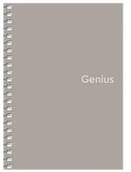 Shkolyaryk Publishing House Genius A6 Kockás Spirál Füzet - Többféle, 80 Lapos