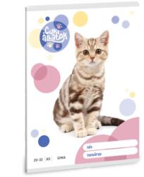 Ars Una Ars Una: Cuki állatok - Amerikai rövidszőrű macska sima füzet A/5 20-32