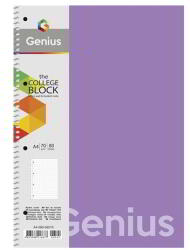 Shkolyaryk Publishing House Genius A4 Kockás Spirál Füzet - Többféle, 80 Lapos