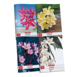 Herlitz X. Book: Flower A4 Négyzetrácsos Füzet - Többféle, 32 Lapos