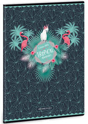 Ars Una Pink Flamingo A/4 extra kapcsos sima füzet 40 lapos