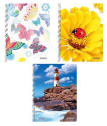 Herlitz 1 A5 Kockás Spirálfüzet Többféle - 60 Lapos