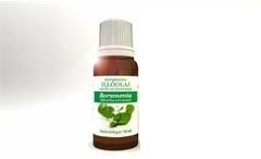 Neuston Természetes illóolaj borsmenta 10ml - mamavita