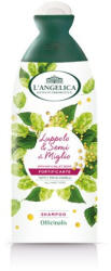 L'Angelica officinalis hajerősítő sampon komló és köles 250 ml - delfinbuvar